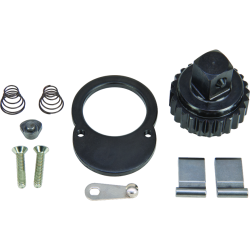 PROTO, 3/4" Drive Ratchet Repair Kit J5649